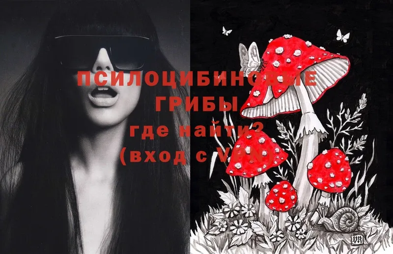 Псилоцибиновые грибы Psilocybe  закладка  Анива 